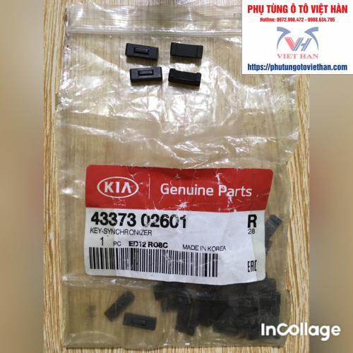 CÁ ĐỒNG TỐC (cá trắng) - 4337302601