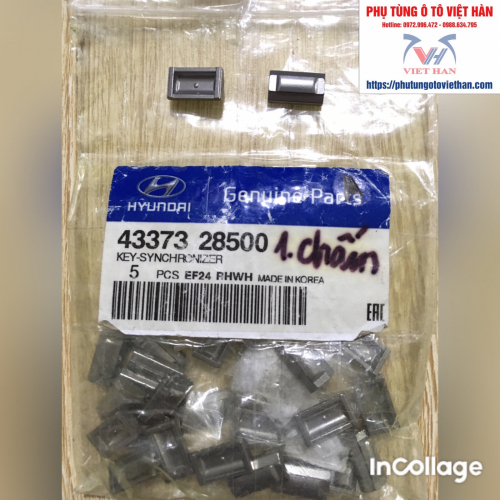 CÁ ĐỒNG TỐC 5&R (1 CHẤM) - 4337328500